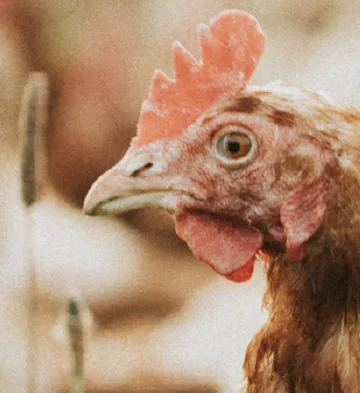 Calidad y servicios analíticos