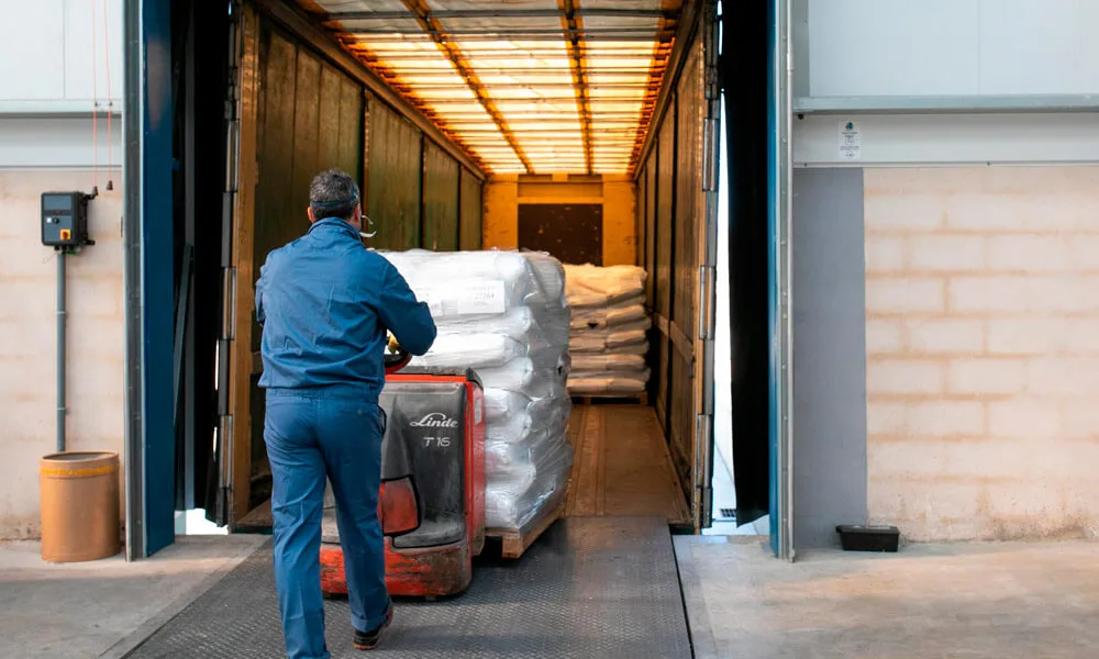 Quiénes Somos - Novation 2002