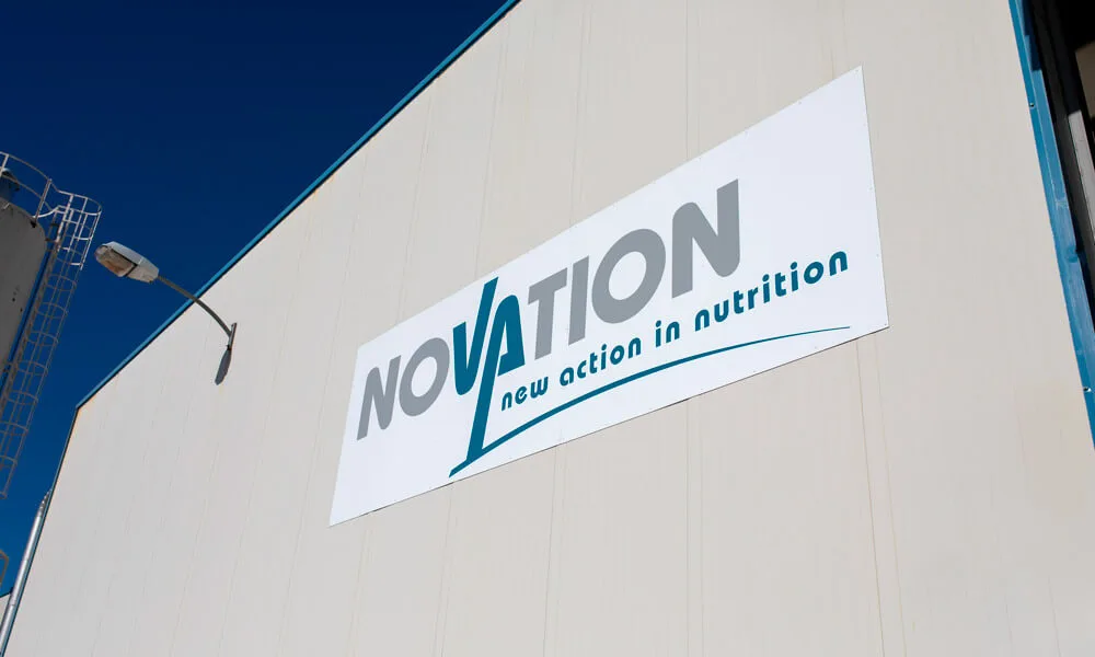 Instalaciones Novation 2002