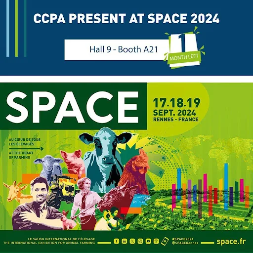 Novation en SPACE 2024